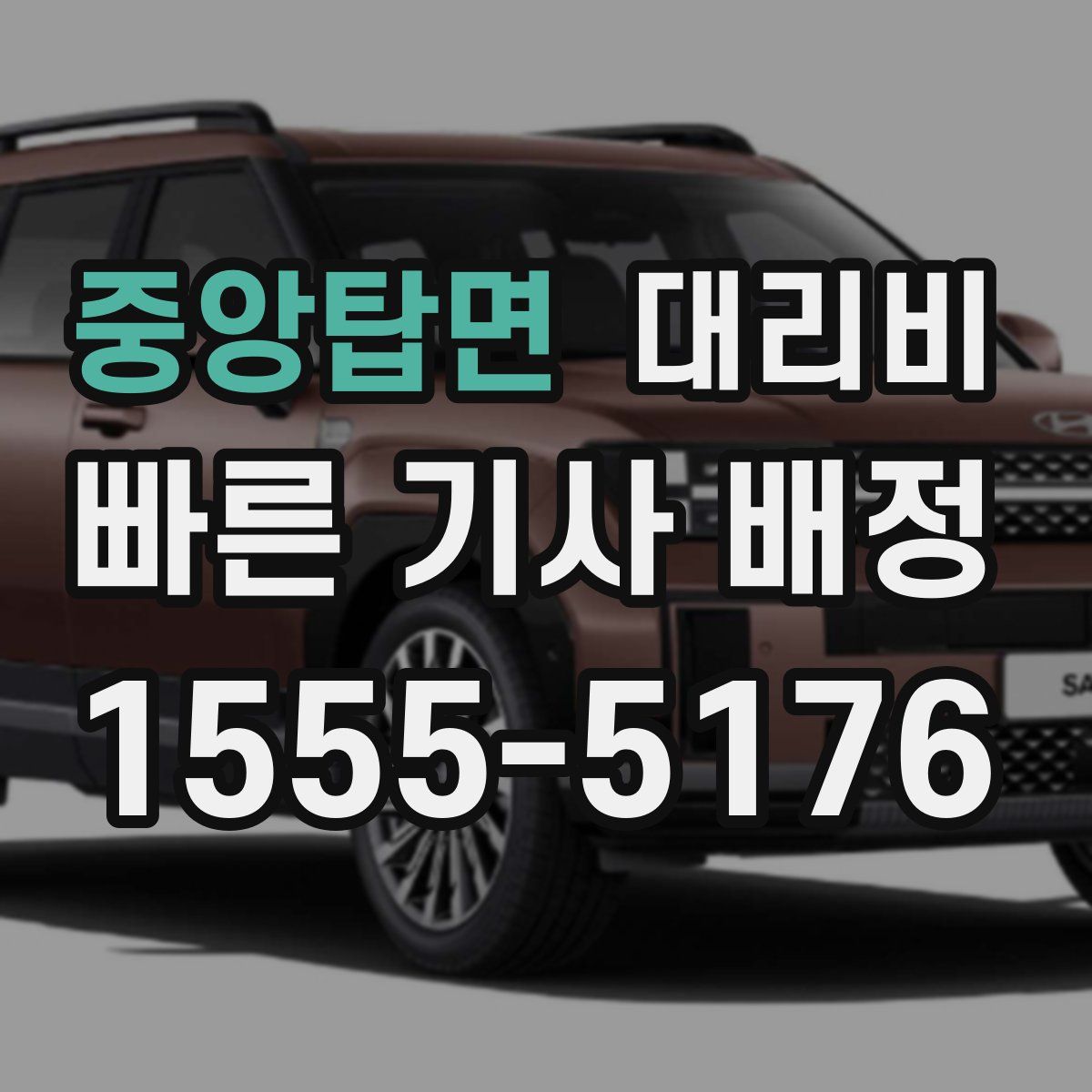 중앙탑면 대리운전