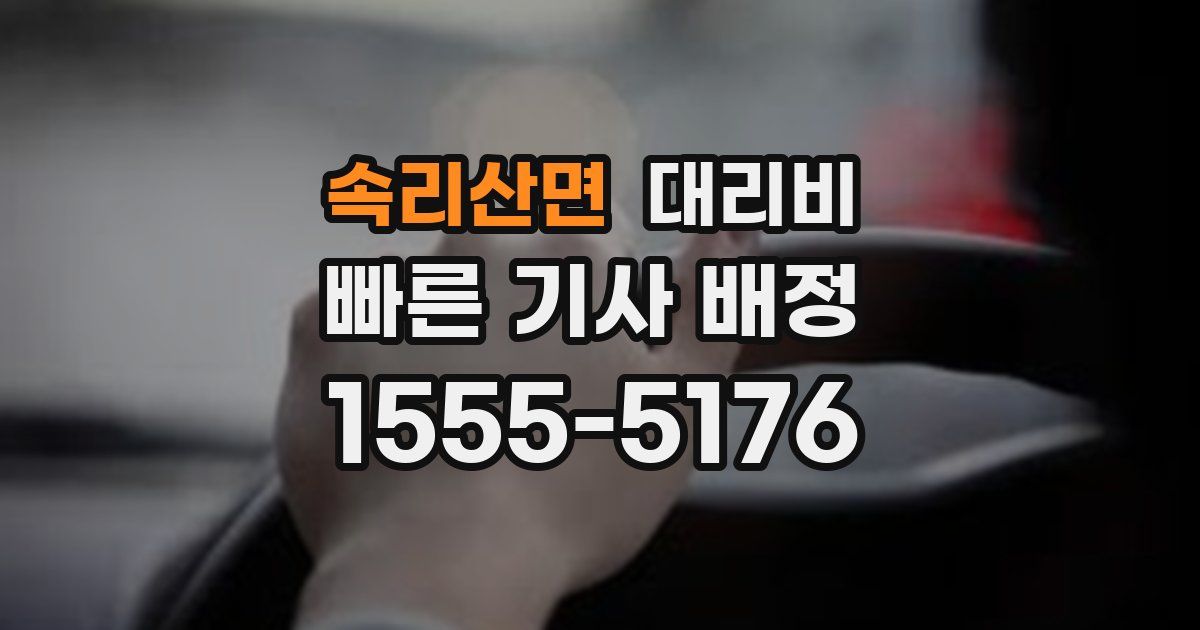 속리산면 대리운전 가격