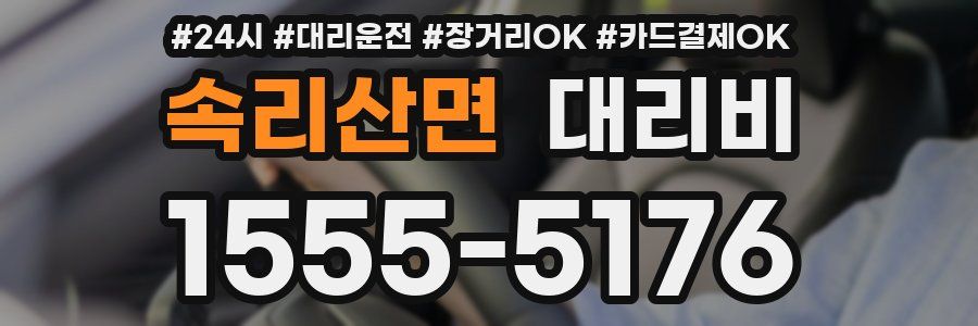 속리산면 대리비