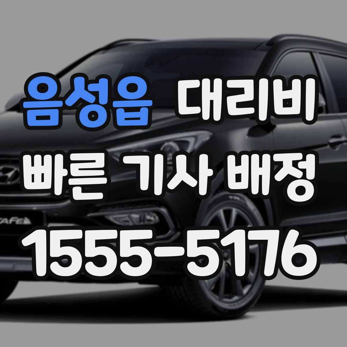 음성읍 대리운전