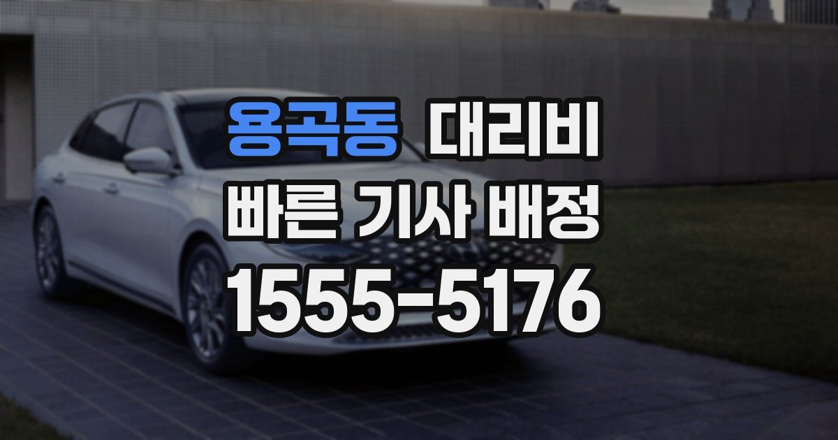 용곡동 대리운전 가격