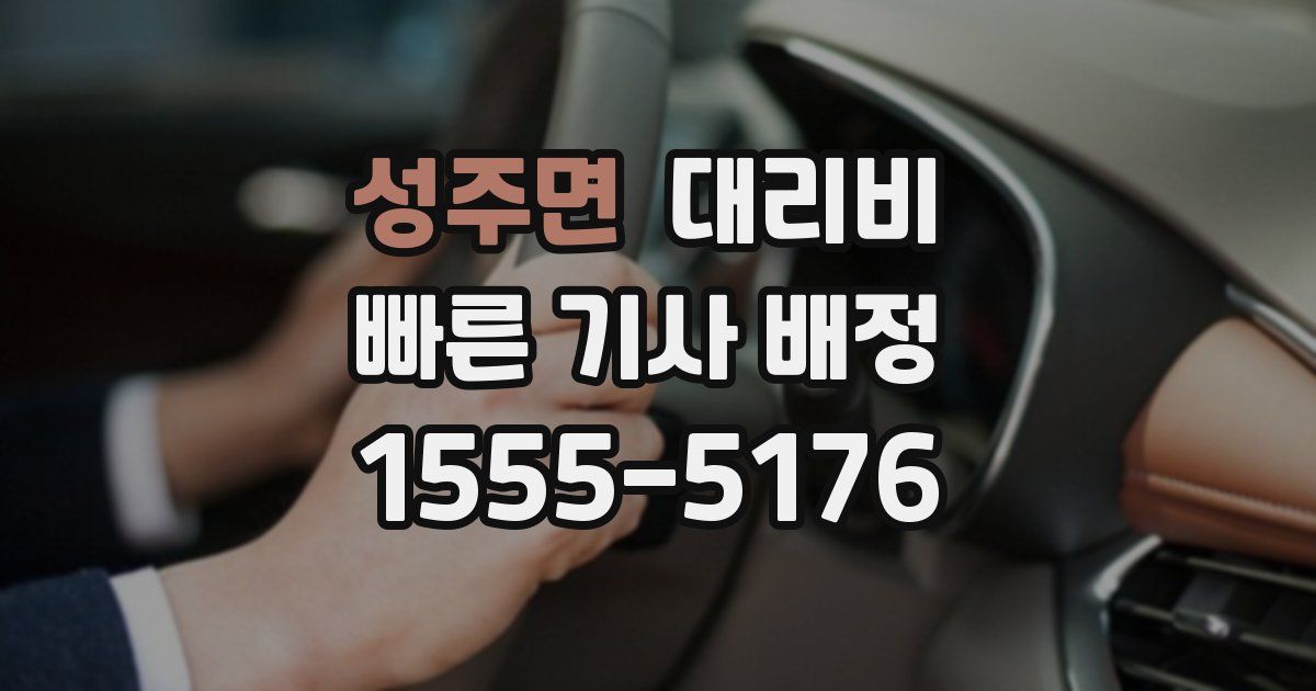 성주면 대리운전 가격