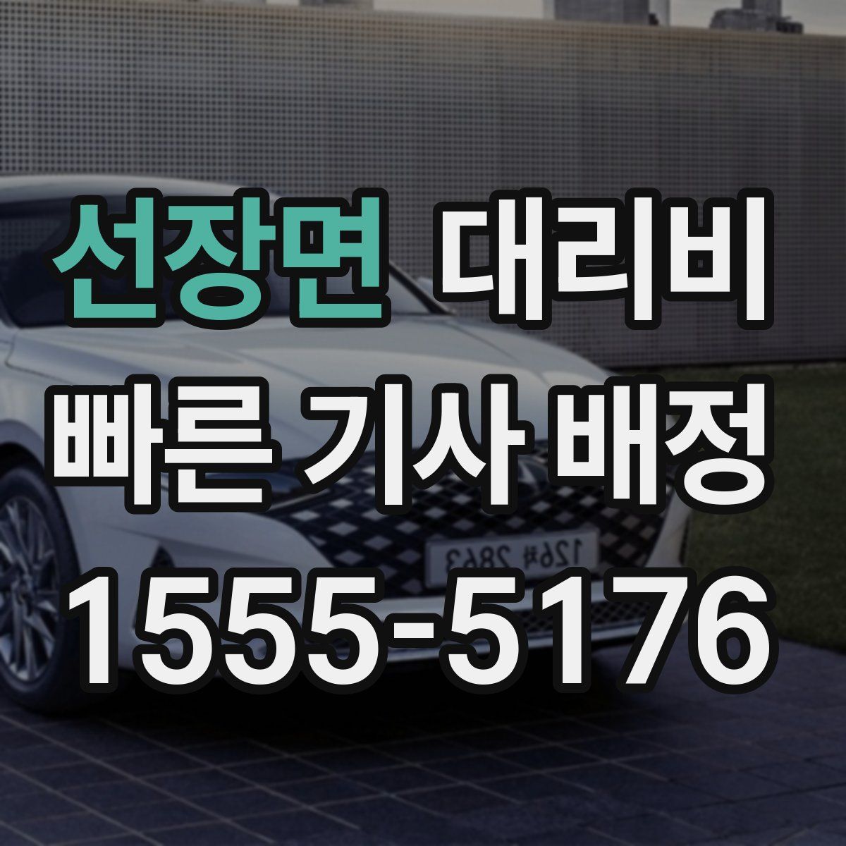 선장면 대리운전