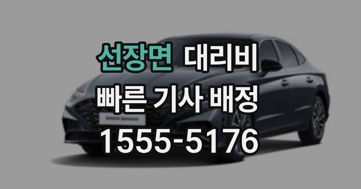 선장면 대리운전 가격
