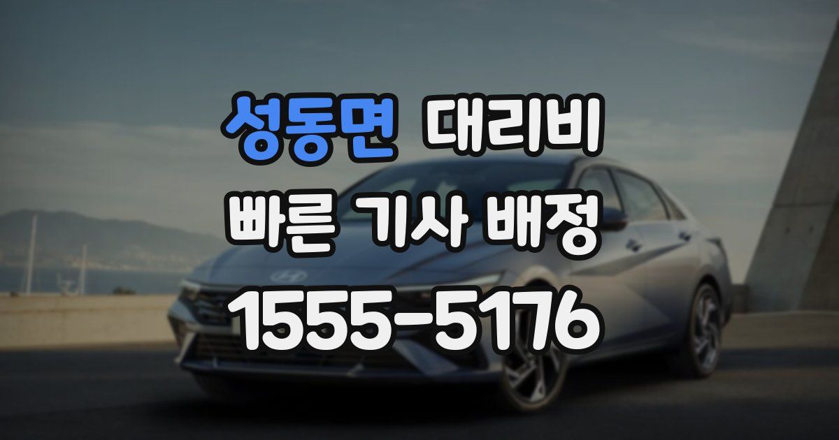 성동면 대리운전 가격