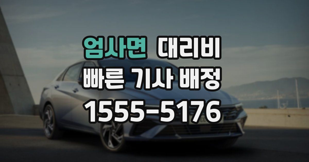 엄사면 대리운전 가격