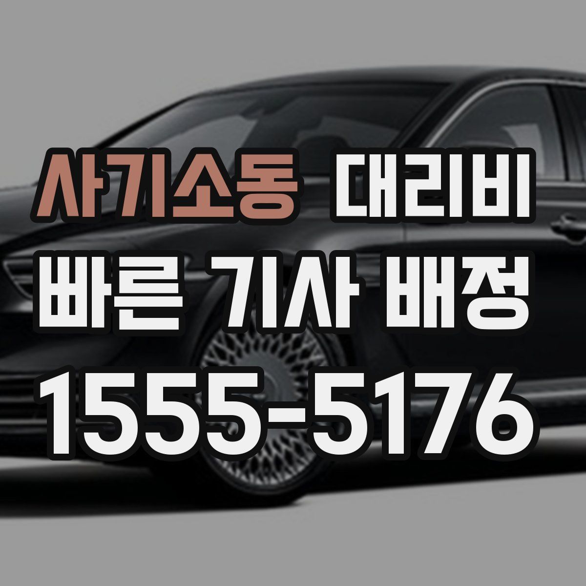 사기소동 대리운전