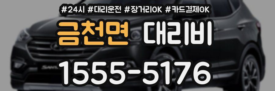 금천면 대리비