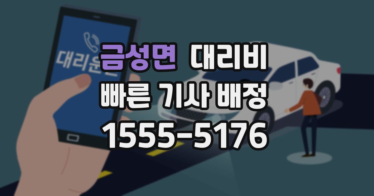 금성면 대리운전 가격