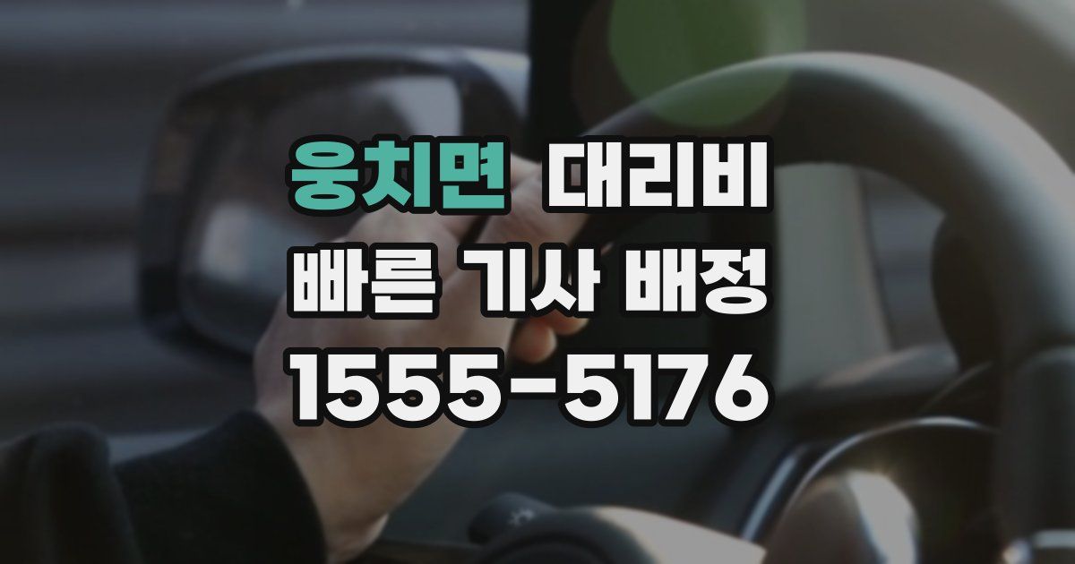 웅치면 대리운전 가격