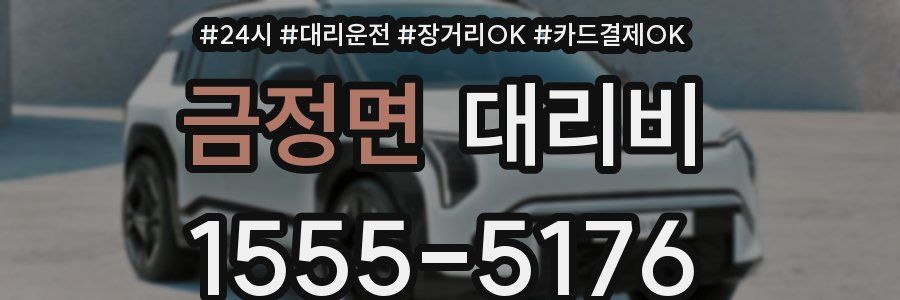 금정면 대리비