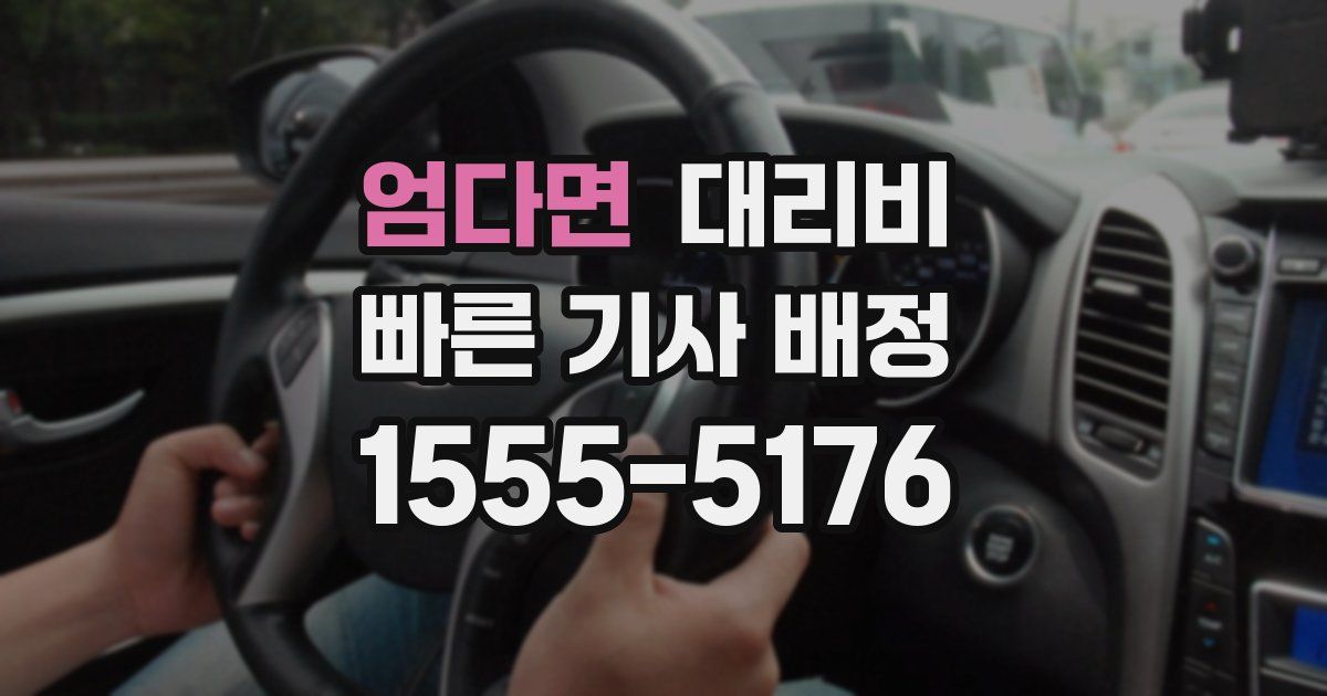 엄다면 대리운전 가격