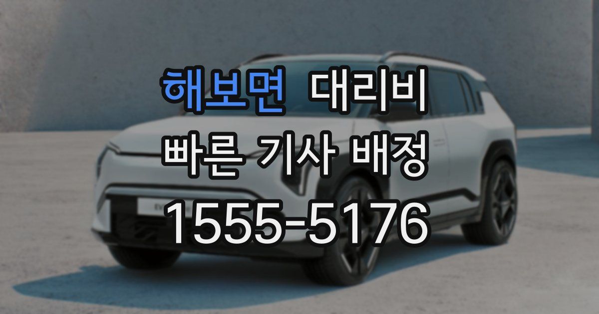 해보면 대리운전 가격