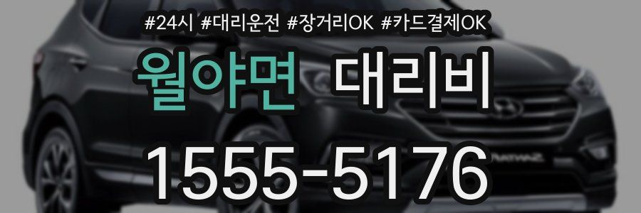 월야면 대리비