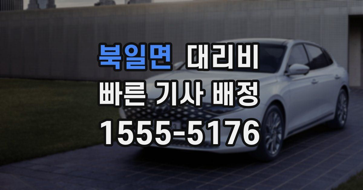 북일면 대리운전 가격