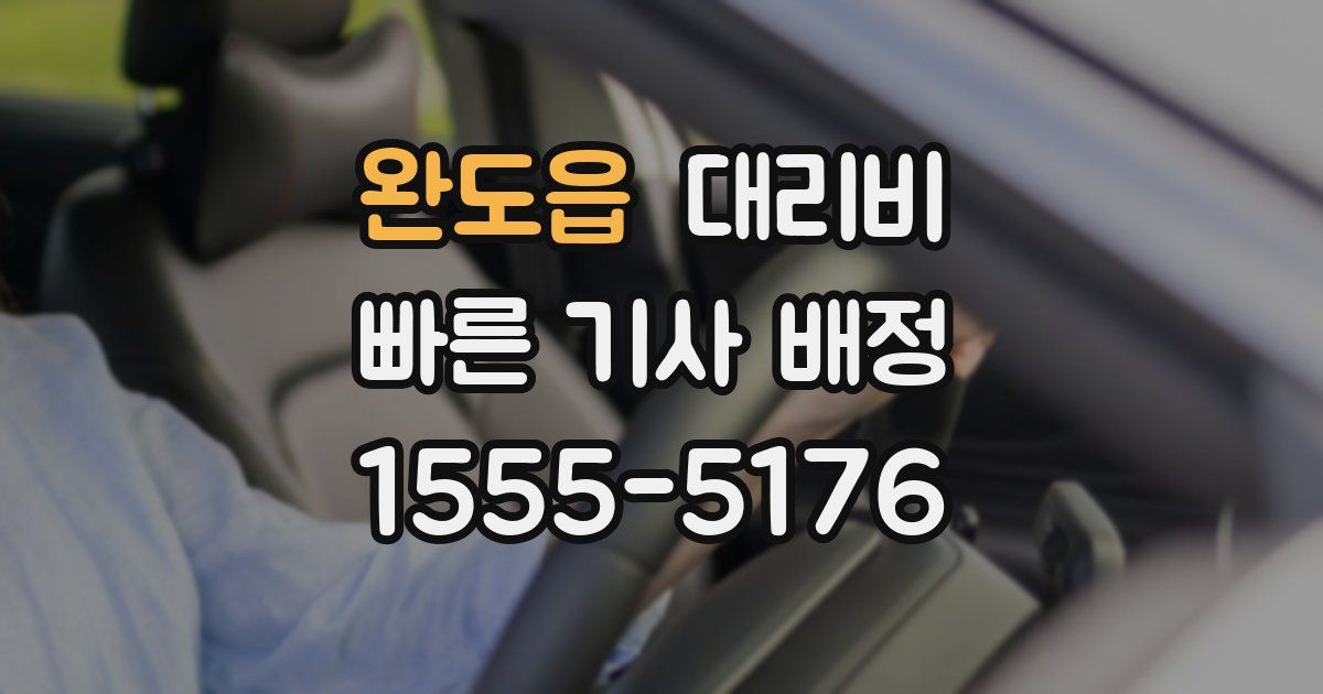 완도읍 대리운전 가격