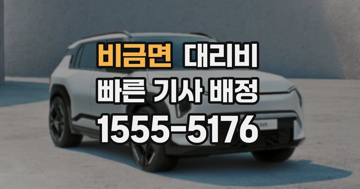 비금면 대리운전 가격