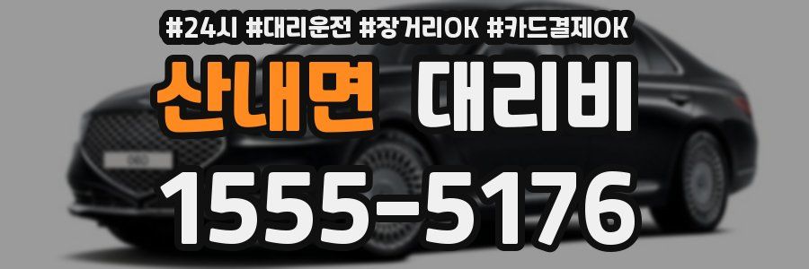 산내면 대리비