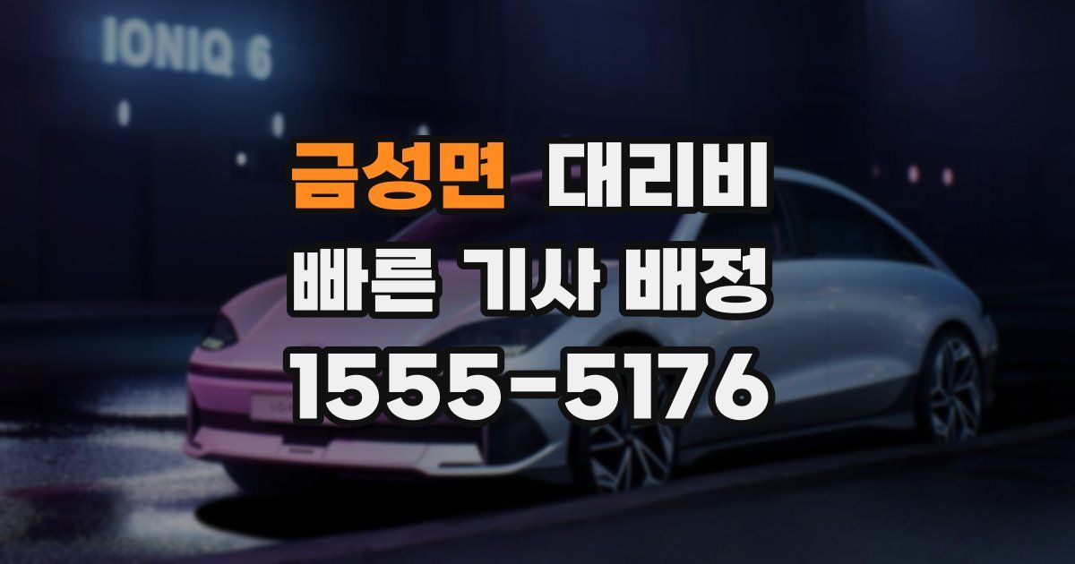 금성면 대리운전 가격