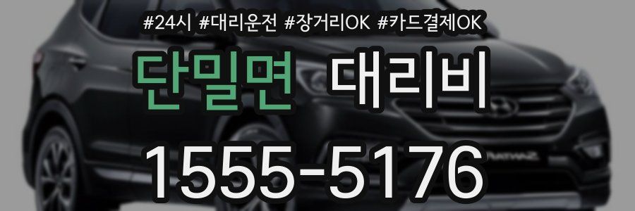 단밀면 대리비