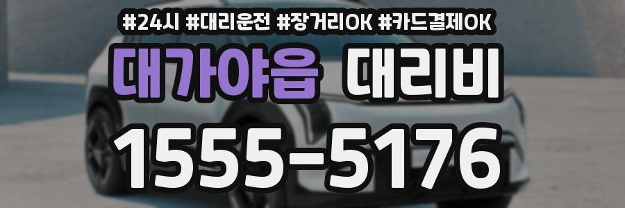 대가야읍 대리비