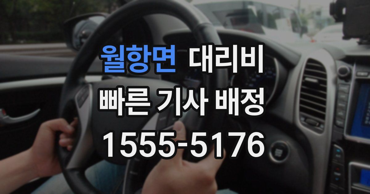 월항면 대리운전 가격