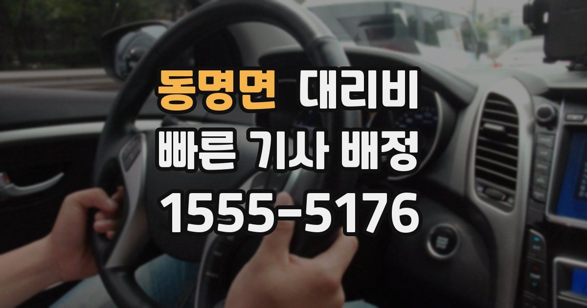 동명면 대리운전 가격