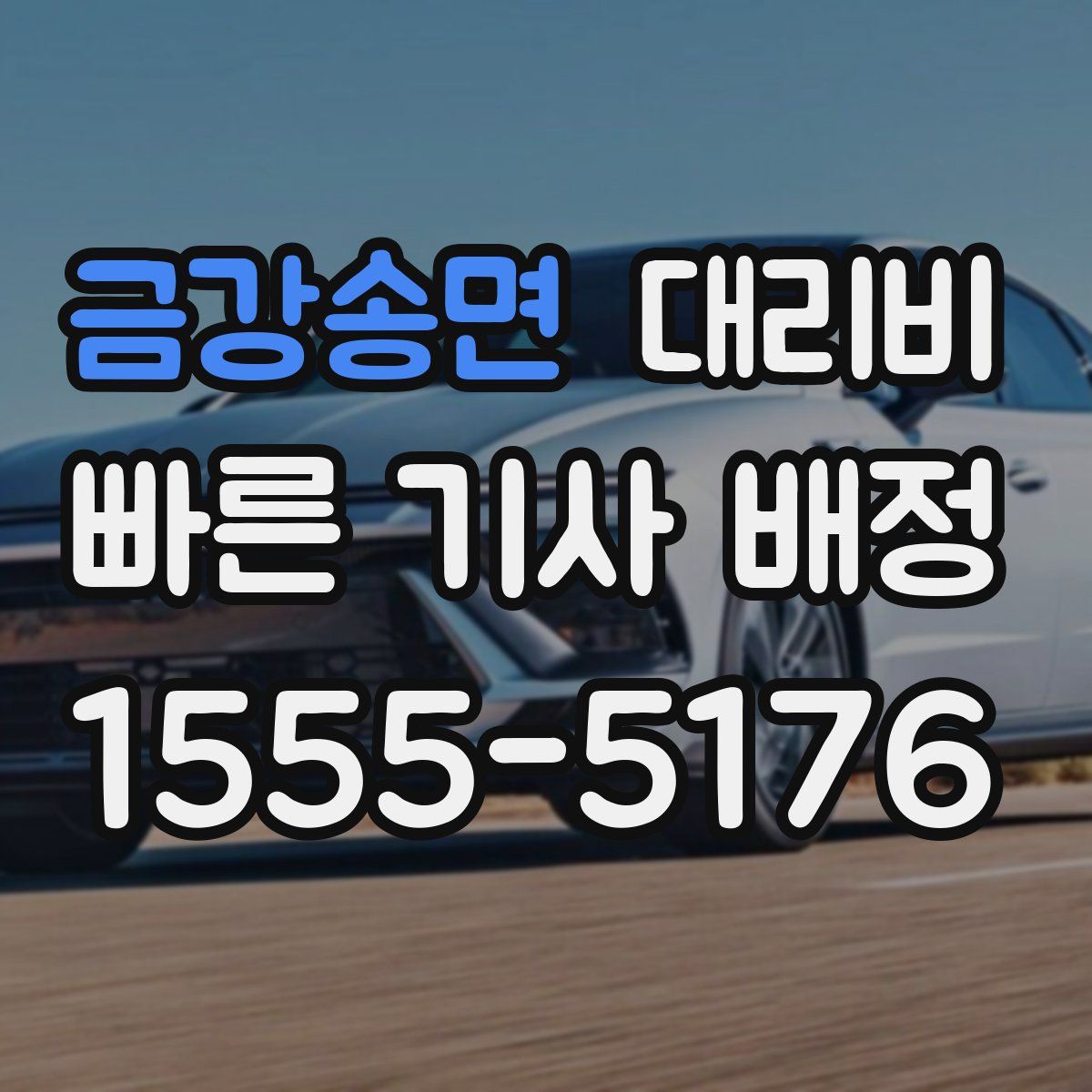 금강송면 대리운전