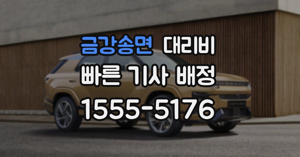 금강송면 대리운전 가격