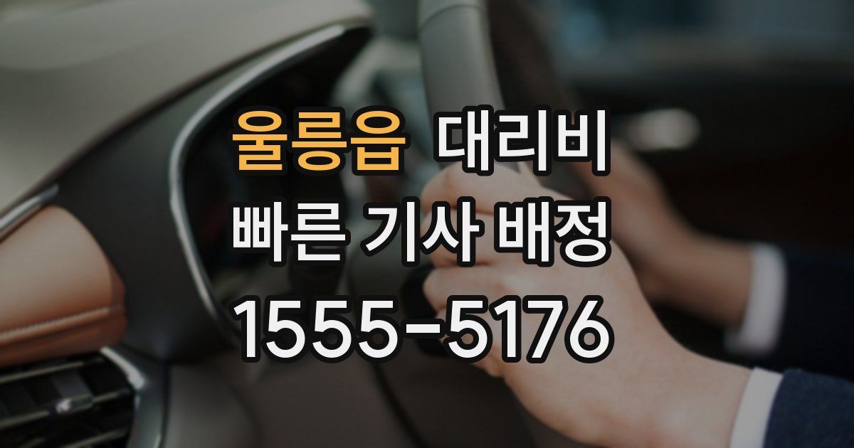 울릉읍 대리운전 가격