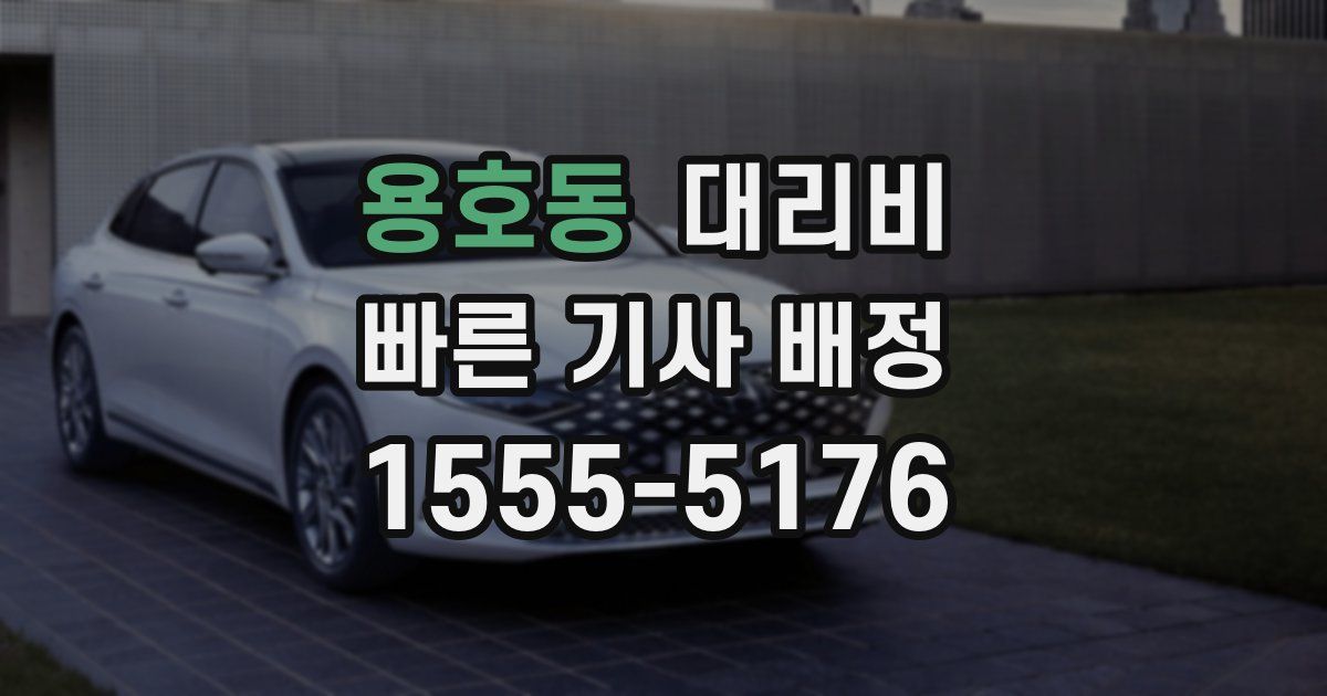 용호동 대리운전 가격