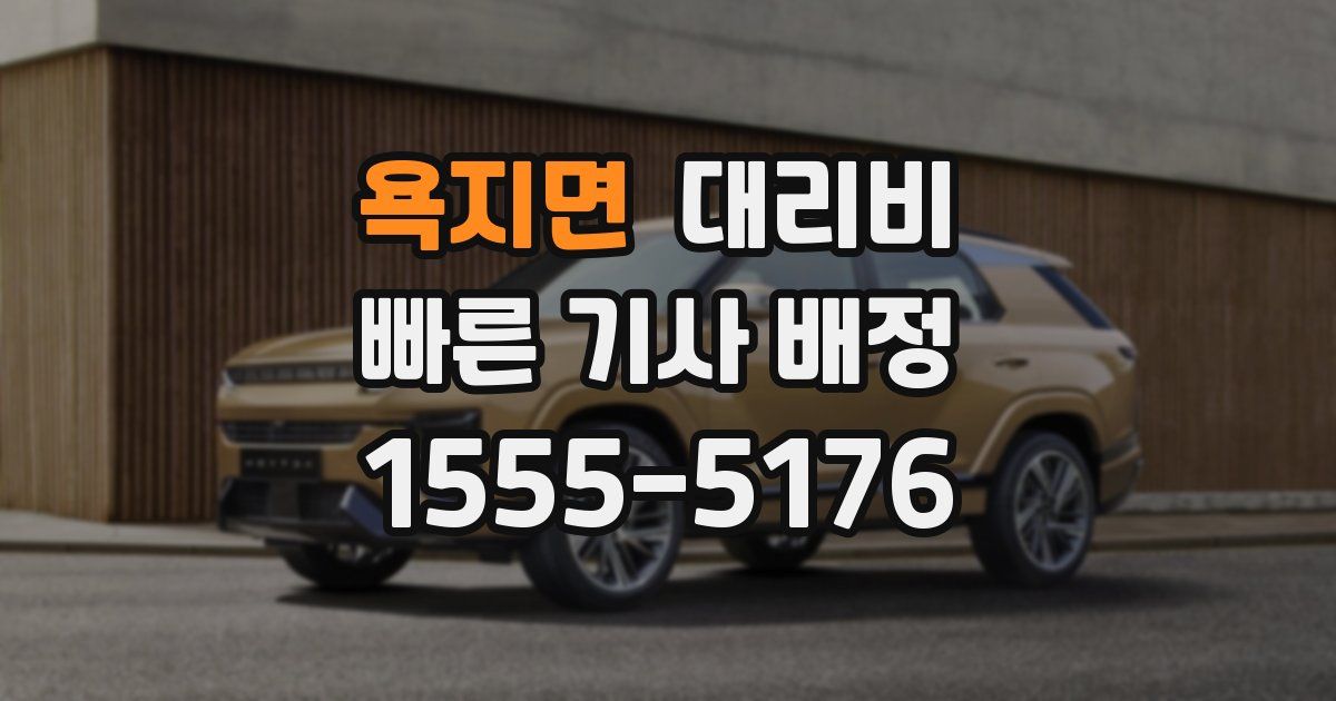 욕지면 대리운전 가격