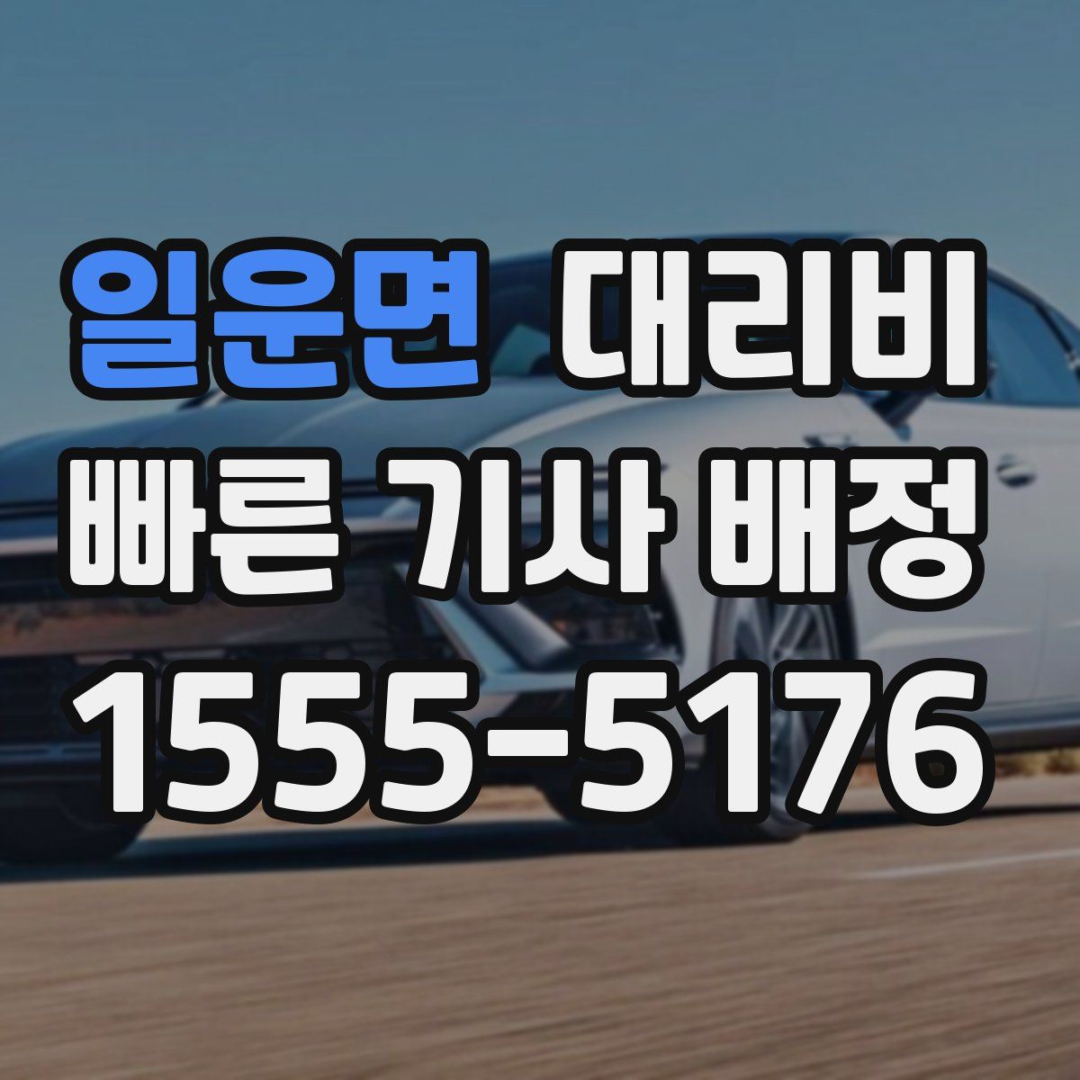 일운면 대리운전