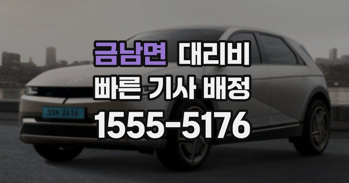 금남면 대리운전 가격
