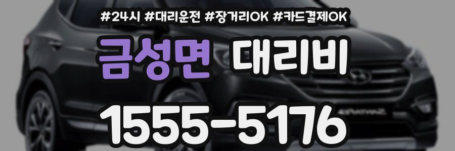 금성면 대리비