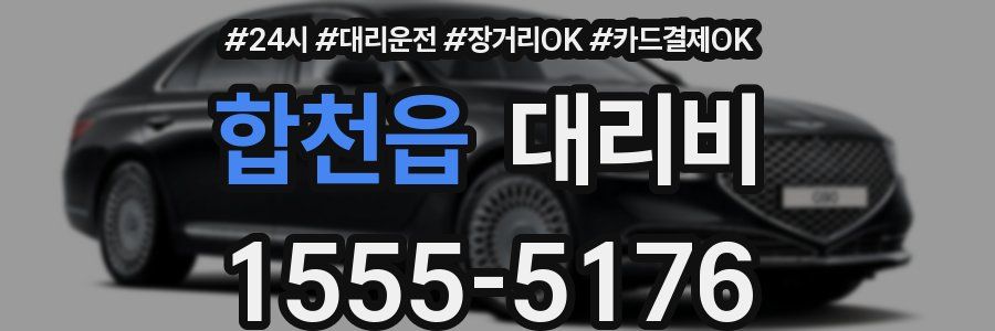 합천읍 대리비