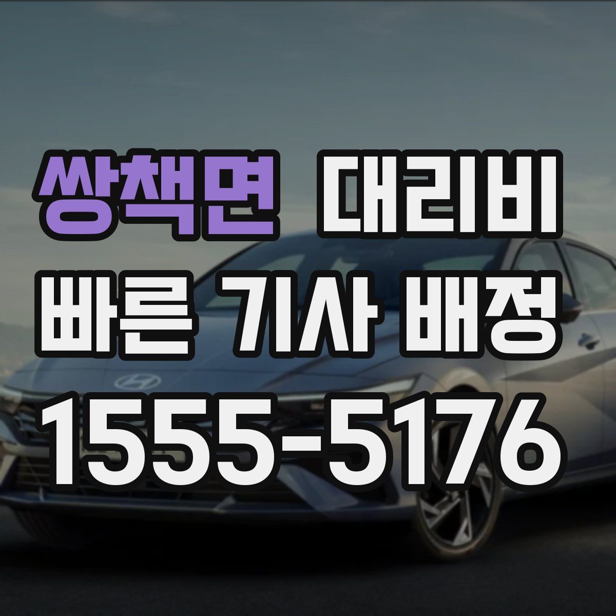 쌍책면 대리운전