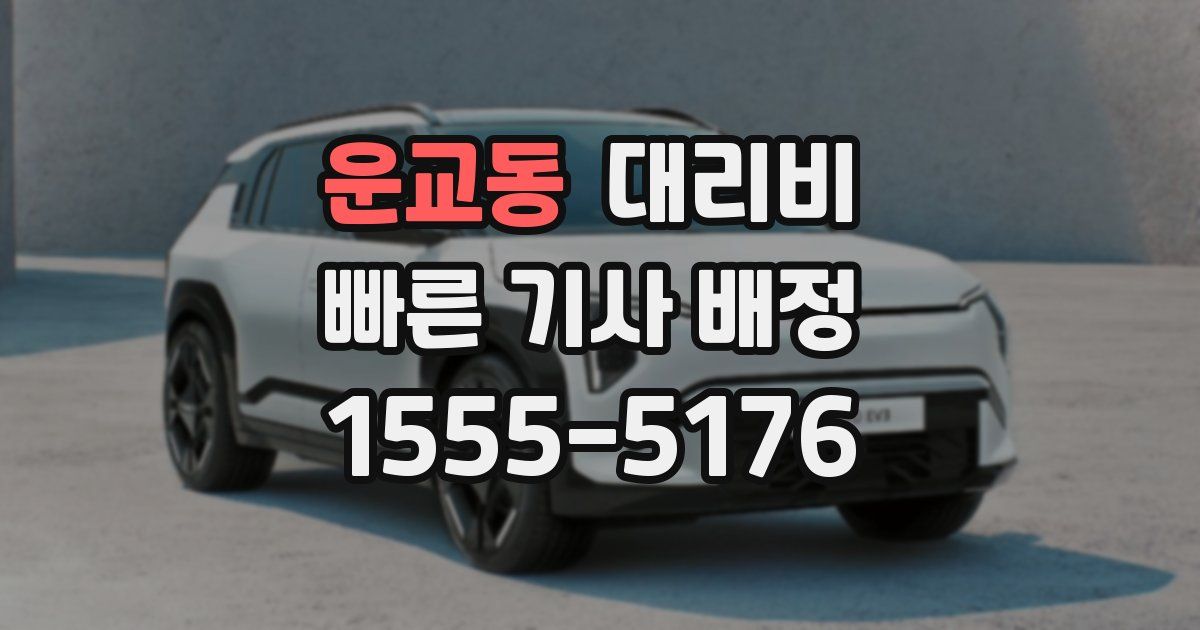 운교동 대리운전 가격