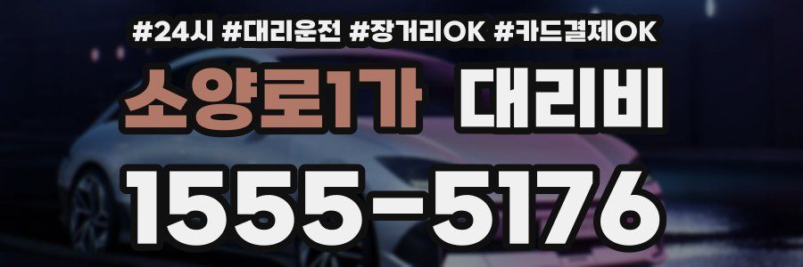 소양로1가 대리비