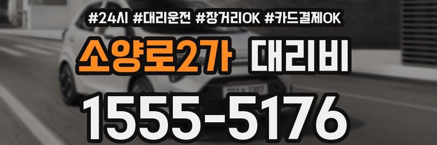 소양로2가 대리비