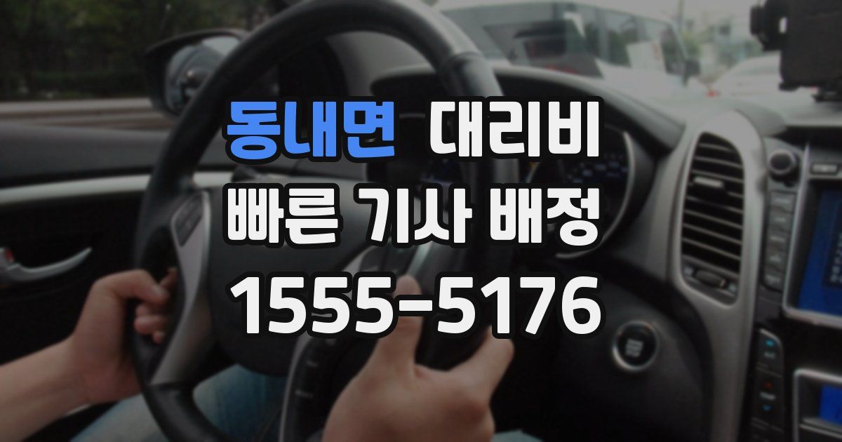 동내면 대리운전 가격