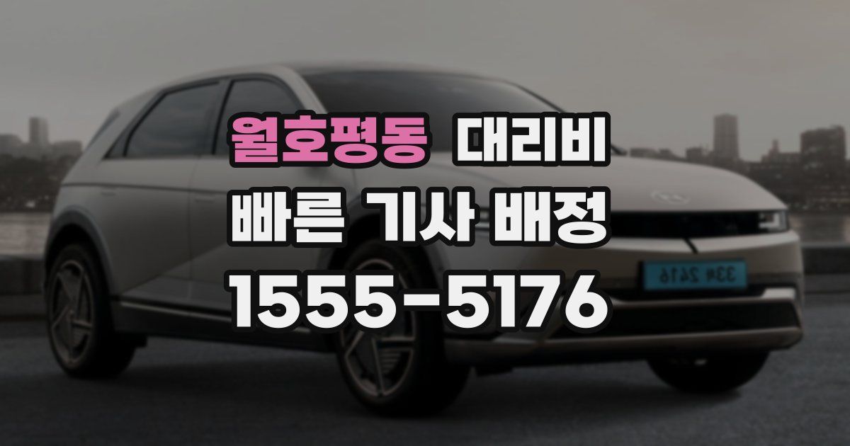 월호평동 대리운전 가격