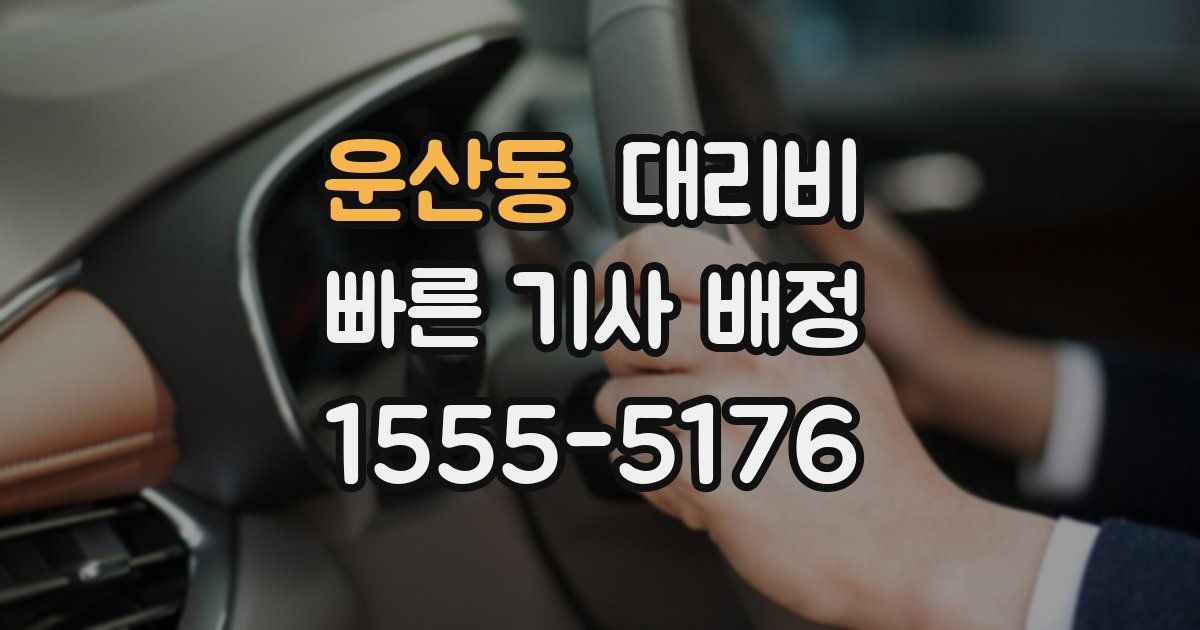 운산동 대리운전 가격
