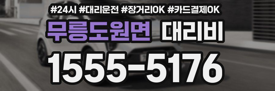 무릉도원면 대리비