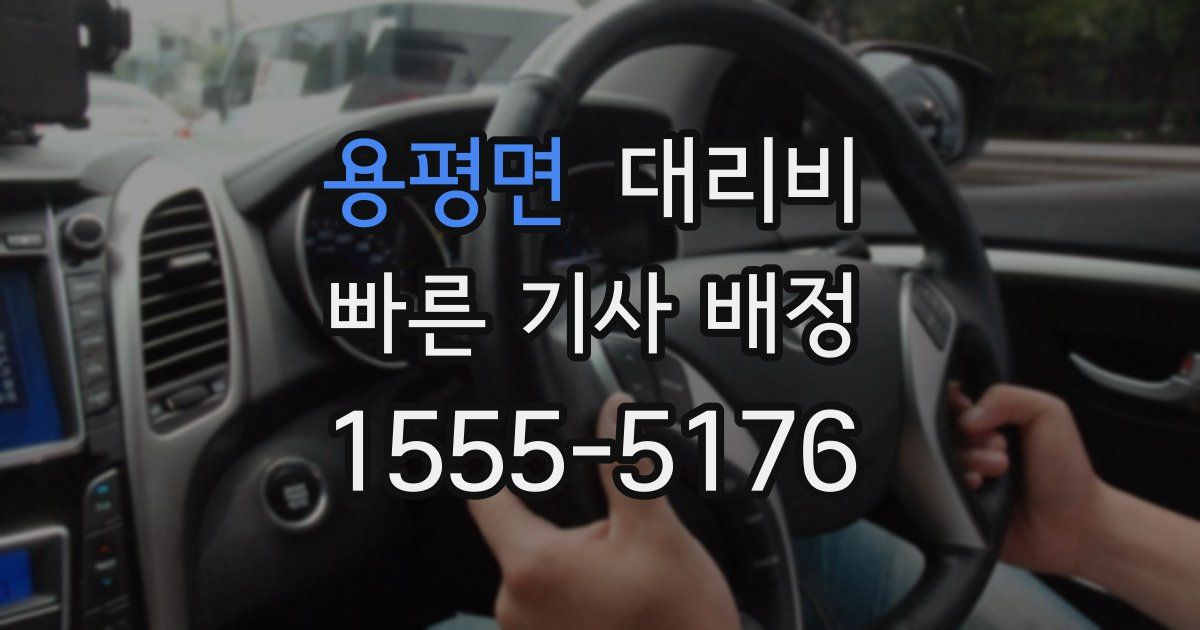 용평면 대리운전 가격
