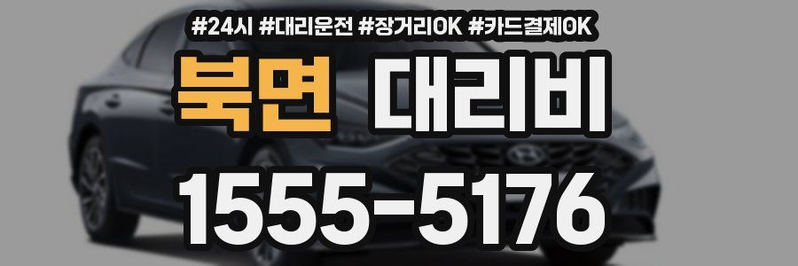 북면 대리비