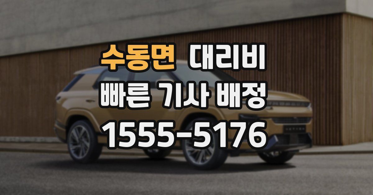 수동면 대리운전 가격