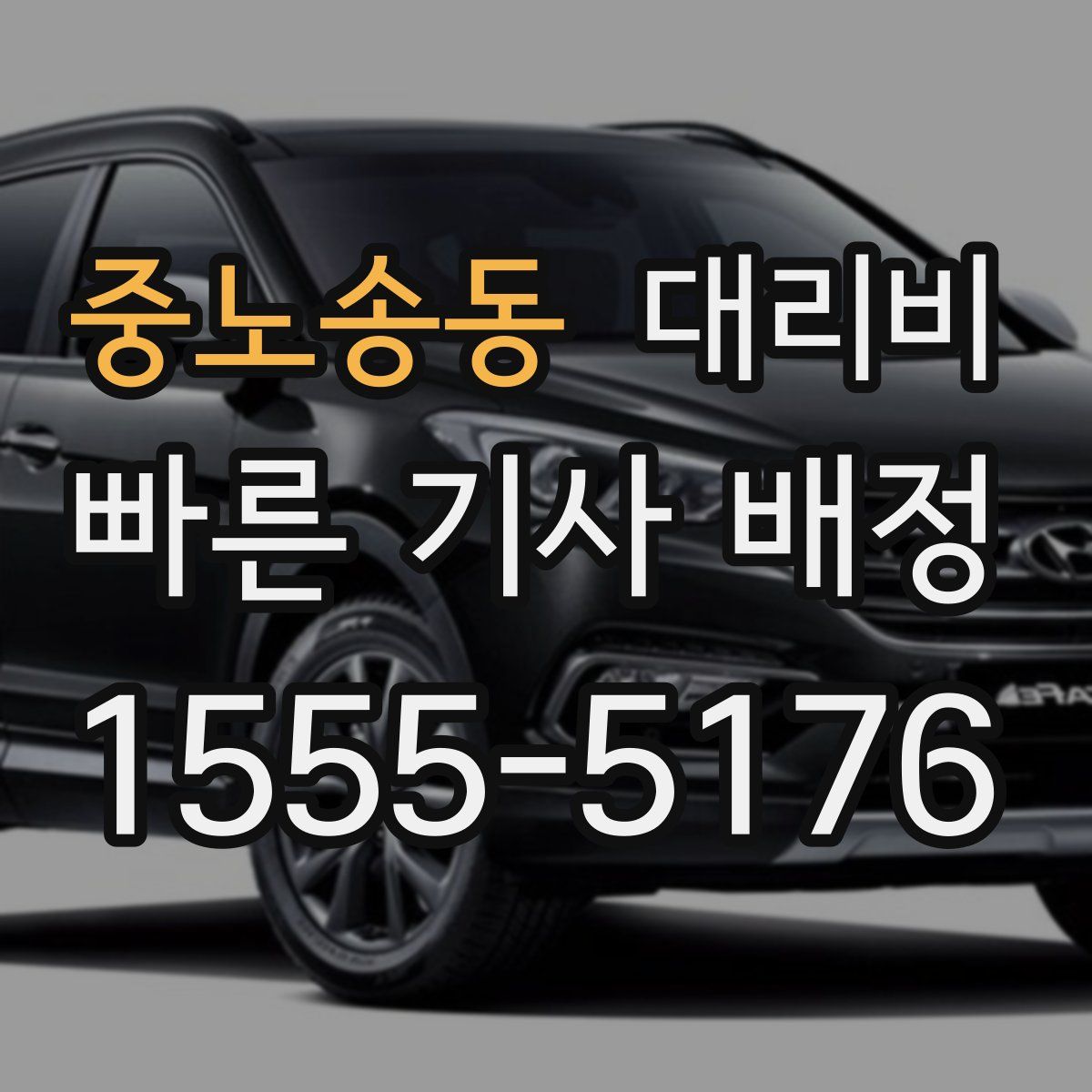 중노송동 대리운전