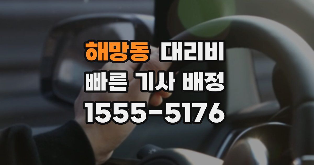 해망동 대리운전 가격