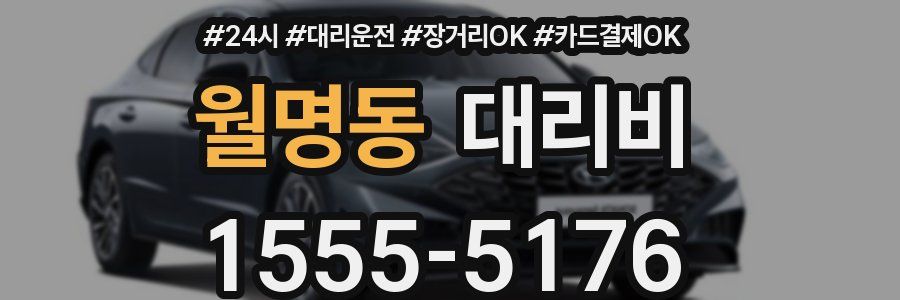 월명동 대리비
